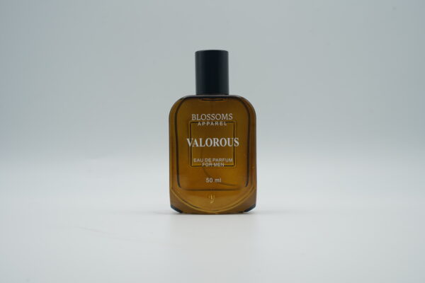 Valorous - Image 2